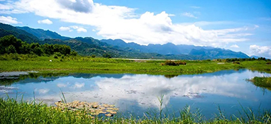 中共中央 国务院关于加快建设全国统一大市场的意见