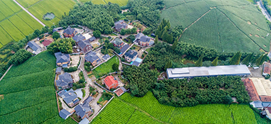 农业农村部等四部门关于推进政策性开发性金融支持农业农村基础设施建设的通知