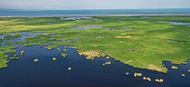 2022年上半年全国生态环境质量持续改善