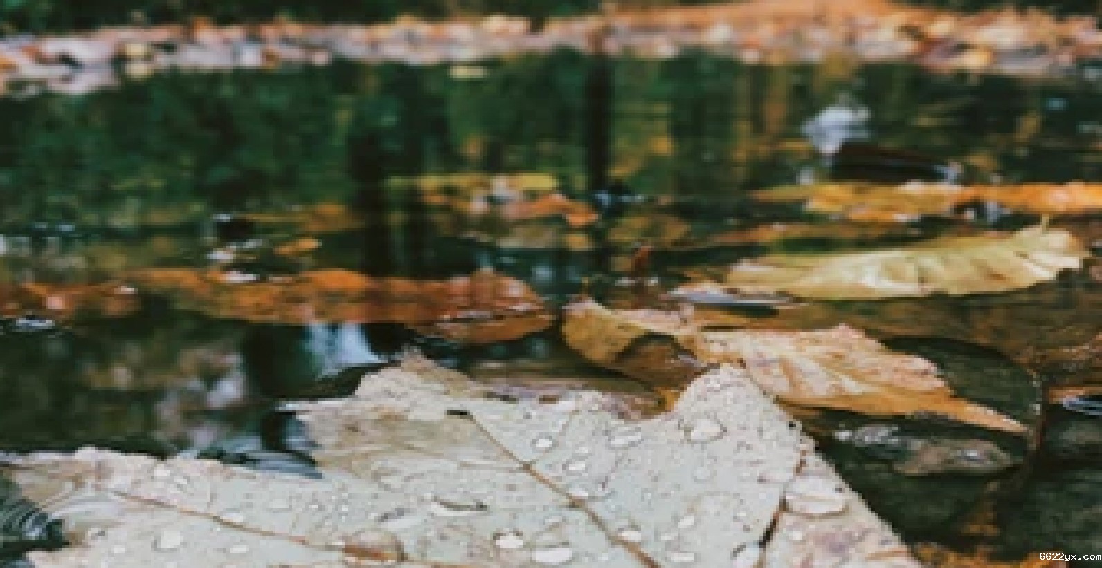 环保科普 | 工业废水知多少