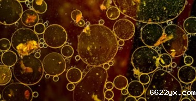 ios在哪下载taptap游戏|农村生活污水治理新规发布！适宜地区探索EOD模式