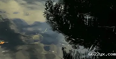 ios在哪下载taptap游戏|聚焦水资源管理：从农村水体治理到城市节能减排