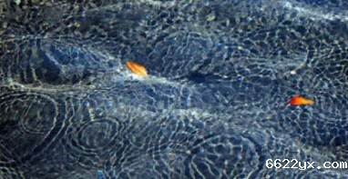 ios在哪下载taptap游戏|特许经营新政驱动下，超/特大城市水务升级路径