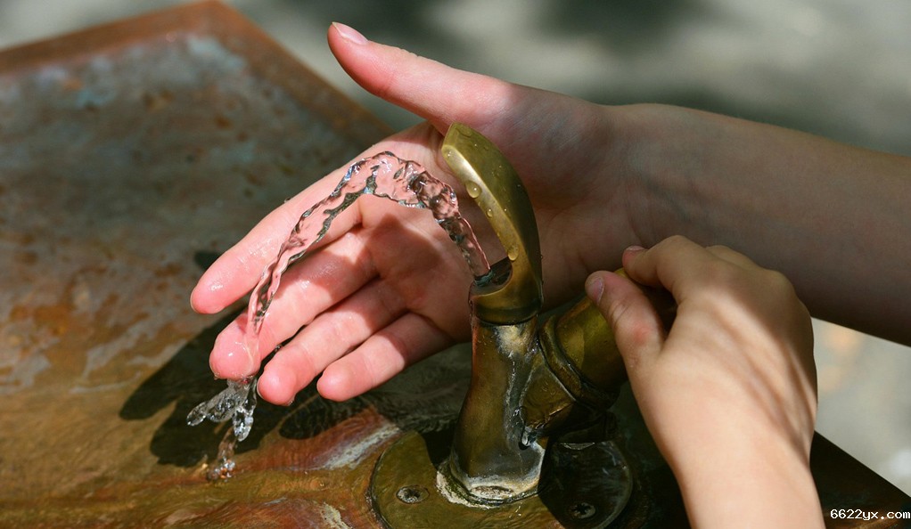 破局与新生——中持的战略转型变革之路